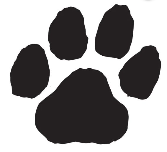 Paw Waterless Temporary Tattoo