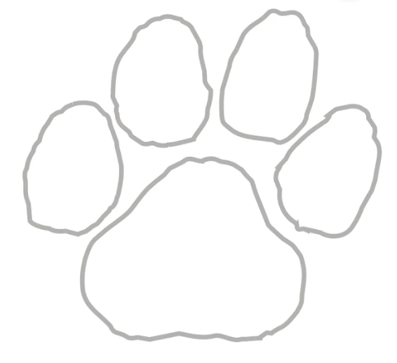 Paw Waterless Temporary Tattoo
